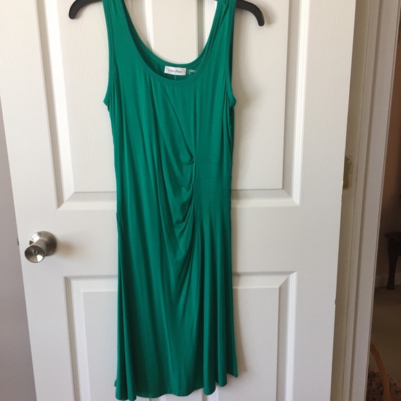 Calvin Klein Dresses & Skirts - NWT Calvin Klein Dress Size 6.